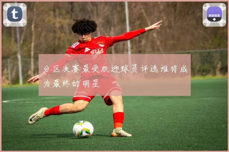 分区决赛最受欢迎球员评选谁将成为最终的明星