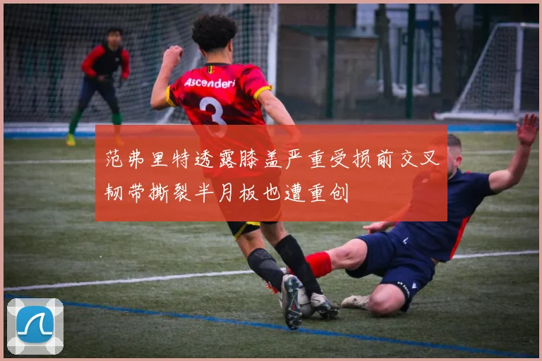 范弗里特透露膝盖严重受损前交叉韧带撕裂半月板也遭重创
